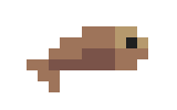 Little Fish B